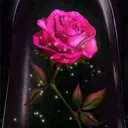 @mariatoledo602
