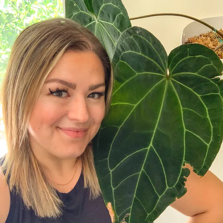 @concretebotanical