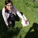 @lisajannicke1