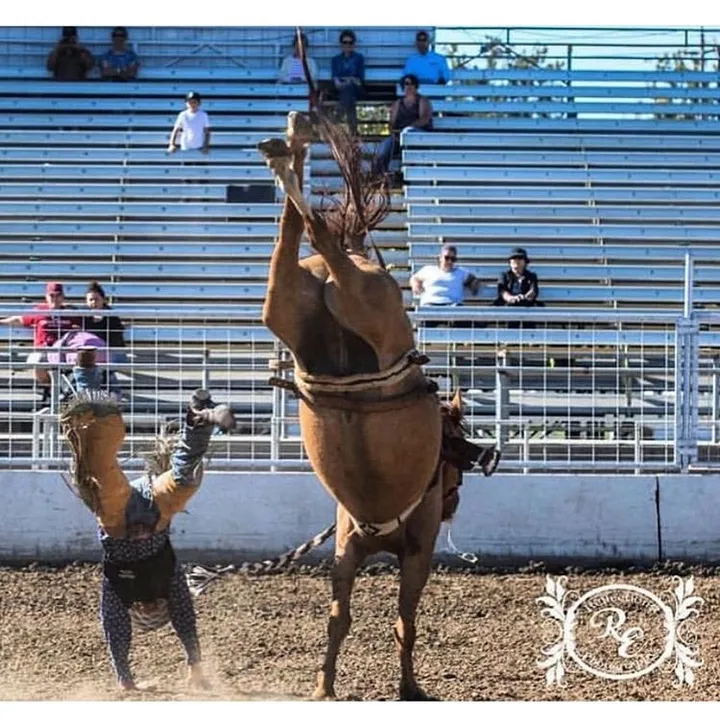 rodeowrecks