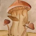 @crumbsandgubs