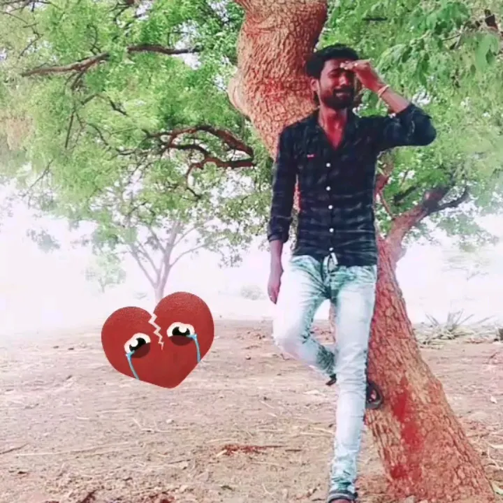 dineshvidy