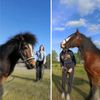 the_kerzenhalters