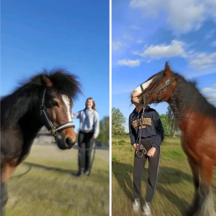 the_kerzenhalters