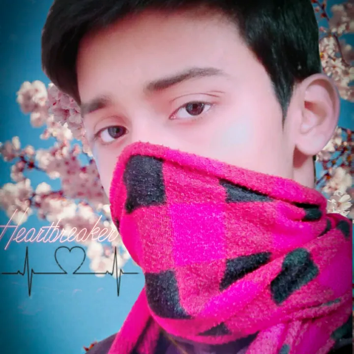 @mayankjha_dashingboy