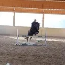 @sunny.und.licia