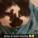 @pandadreaming