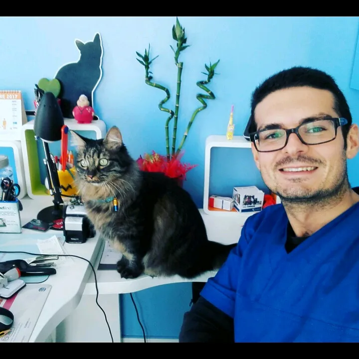 vet.gallo