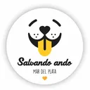 @salvandoando