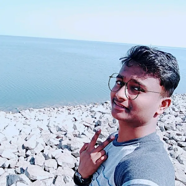 rajnarayanbarsale