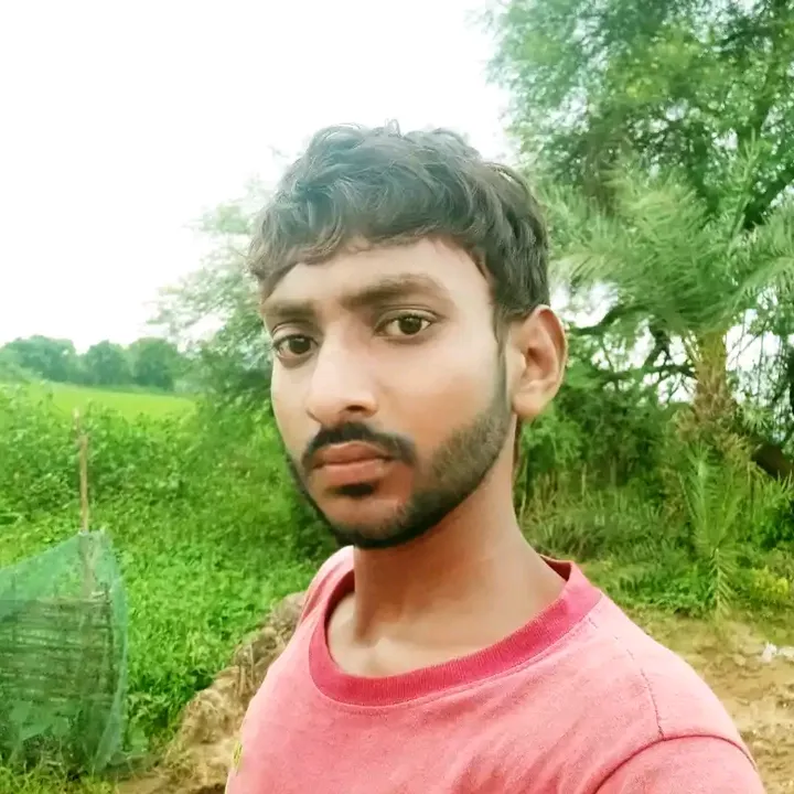 pnav2