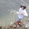 fishinbemymission