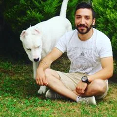 @berkaykoll