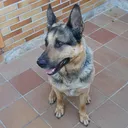 @cupido98