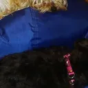 @catalinamoreno59