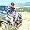 puvinesan6