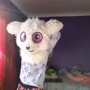 @lavnender_the_fur