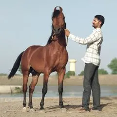 dhanrajsinhbhadiyad
