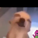 @jjuicebox