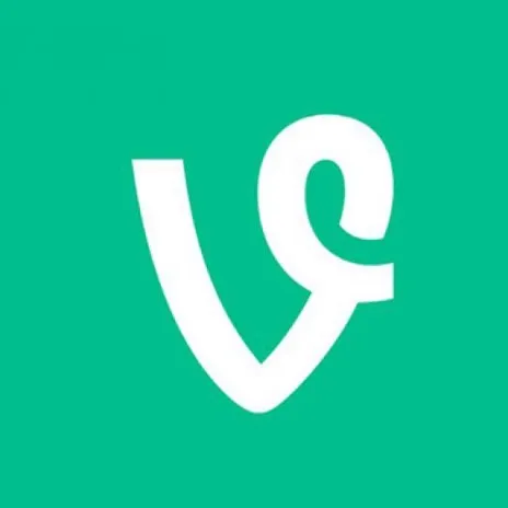 vineontiktok5