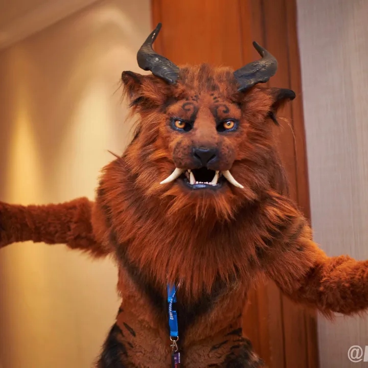 @shangfudog