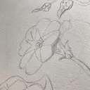 @alice.dessine