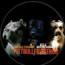 @pittbullfighter03