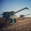 @jcwfarms3