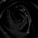 @faechild22