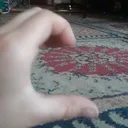 @bella_grace_downey