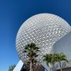 rvingtodisney