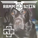 @useroyx0yn2d7o