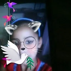 @vaishalidubey302
