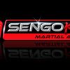 sengokumartialarts
