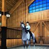 starstable__friends