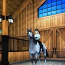 @starstable__friends
