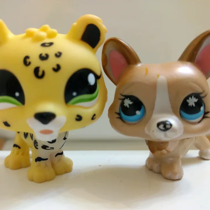 king.lps.horses