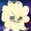 sunnyboysunx