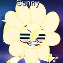 @sunnyboysunx