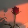 helpmeplz889