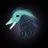 untalentedduck