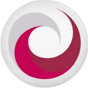 dragonelectronics