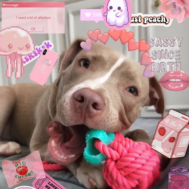 zoey...bxby