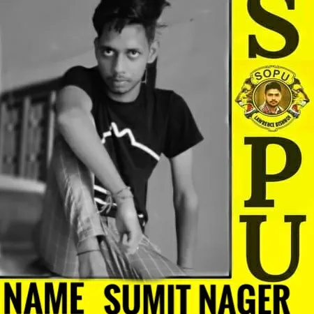 summinager67844
