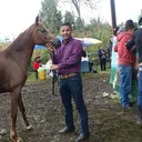 @jaimeperalta1