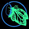 chrysalisshard