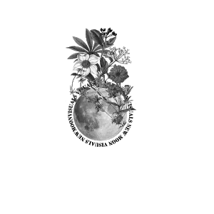 newmoonvisuals