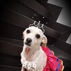 @gabyloveoficial
