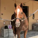 @eq.dani