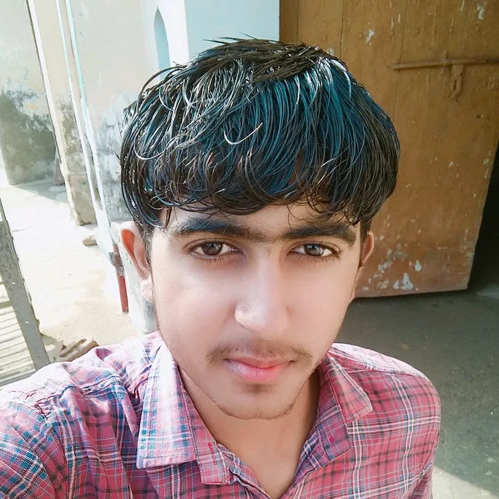 dineshl54